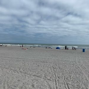 Meet your Posher, Arleen